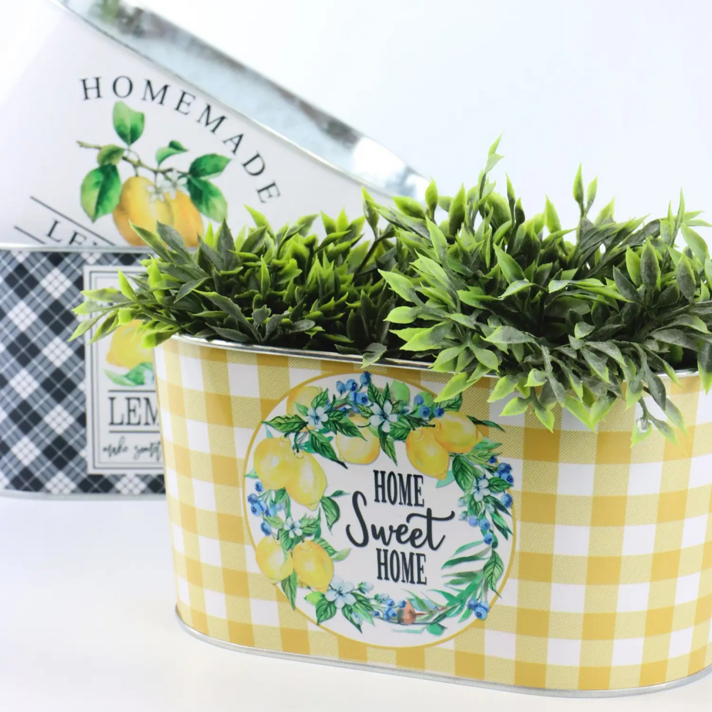 Zinkkruka – Gulrutig med Citronmotiv